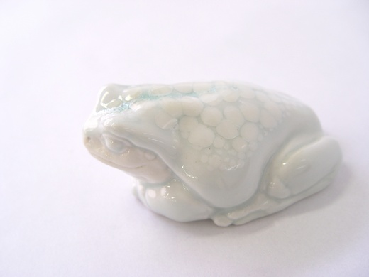 イエアメ Litoria caerulea