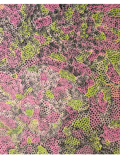 花さける信濃路 (249)