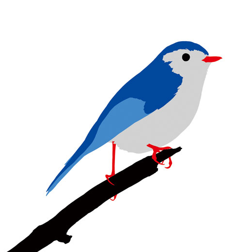Bird 1