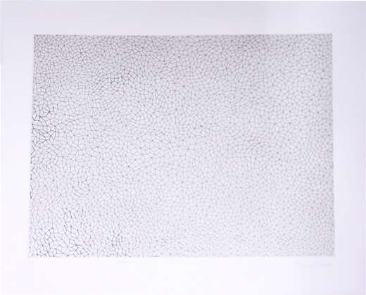 無限の網　   (223)