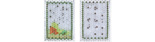 PixCell-Karuta#4(Semimaru)