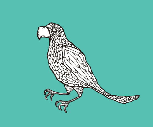 bird