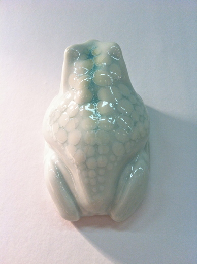 イエアメ Litoria caerulea