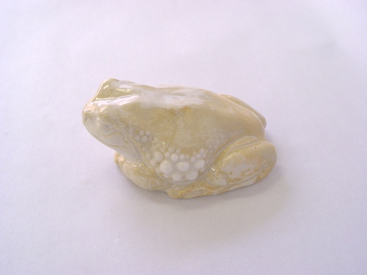 イエアメ Litoria caerulea