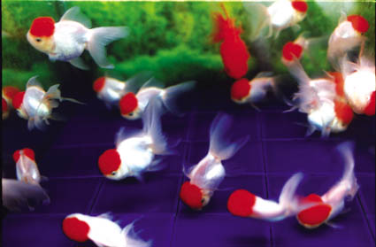 Liquid Dreams-19 (B4サイズ 25.7×36.4cm)