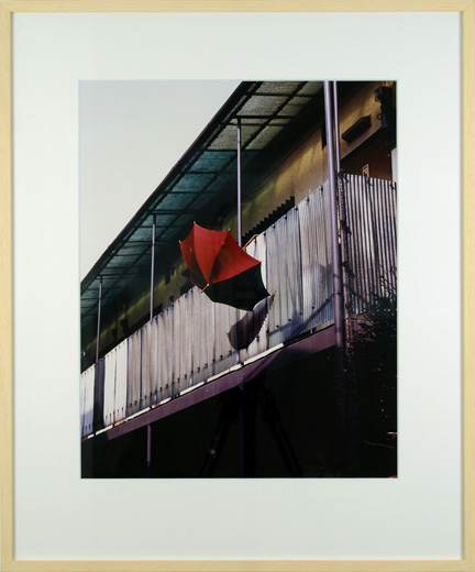 歌人・仙波龍 英との共作の「墓地裏の花屋」より