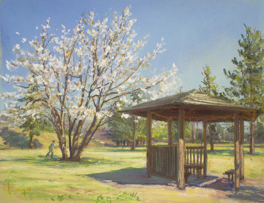 公園の山桜・4月