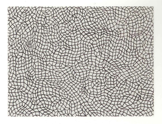 Infinity Nets　（４８）