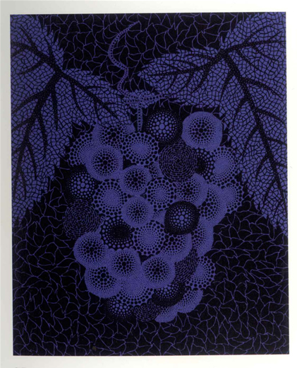 ぶどう  （２８）