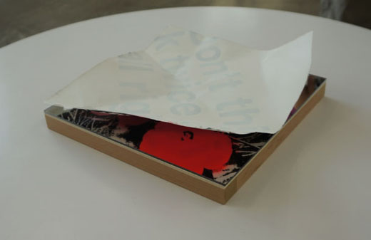 鏡に映ったフラワー S6 赤