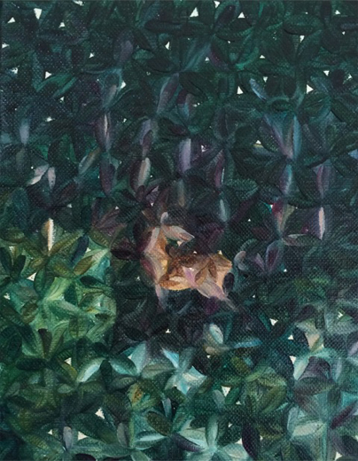 Deer patrol 21853 0819 2014