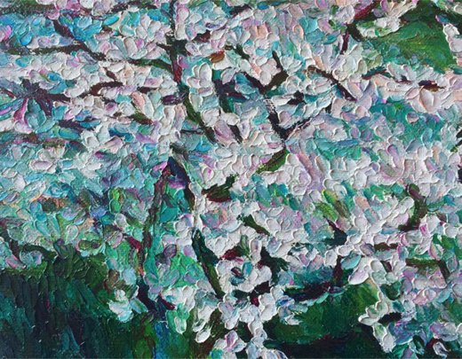 Sakura  1130 1231 2014