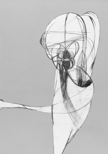 GUTIC MORPHOLOGY 04
