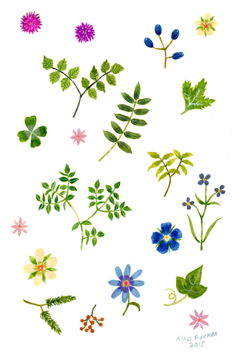 植物図