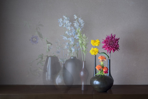 床の間に重なる七色の花