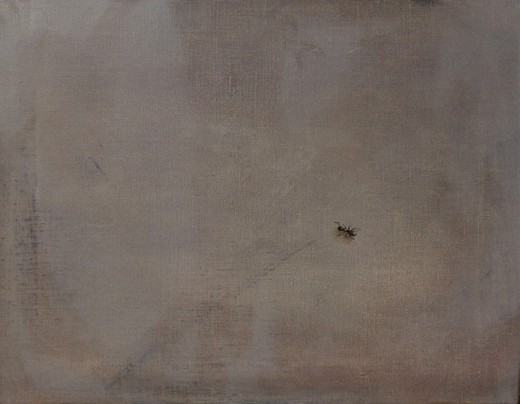 ant
