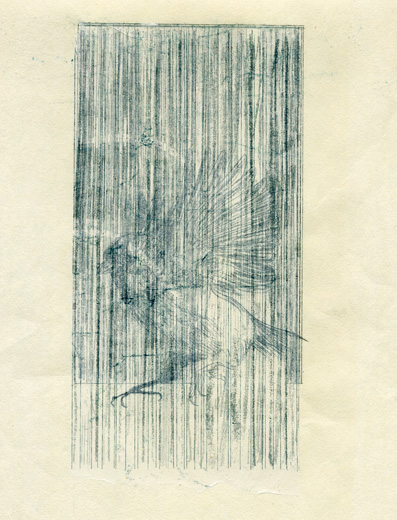 HangingThe outside of window 6