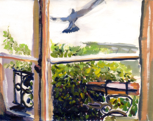 Window