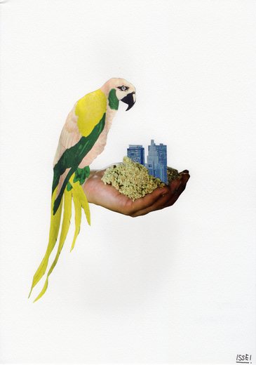 A Bird