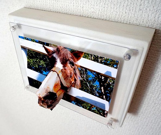 3D photo Horse