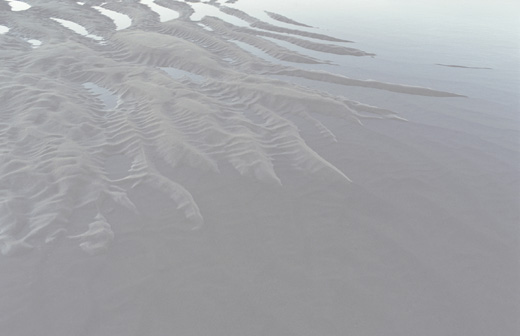 Dreamscape - series ‘The Ephemeral II’