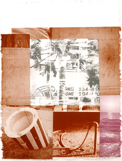 ルーカリーマウンズ・グレーガーデン