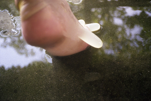 Anatomy Grey / Anatomy of the Mermaid