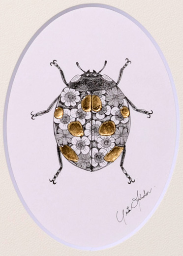 テントウムシ(七つ星)