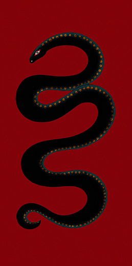 NAGA