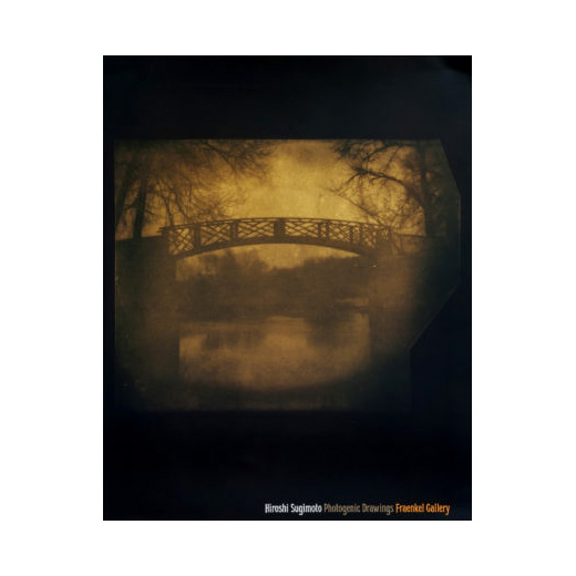 Photogenic Drawings (ポスター)