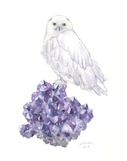シロフクロウとアメジスト