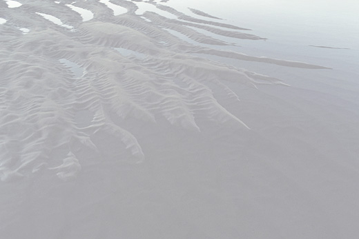 Tenacity II - series ‘Whiteout’