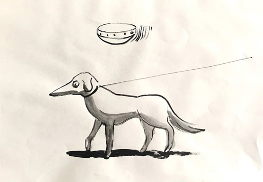 散歩 -照らされている犬-