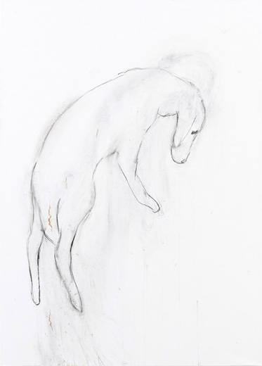 彼は遠い空を飛んだだろうか