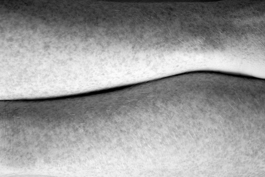 Fragment II - series ‘Whiteout’