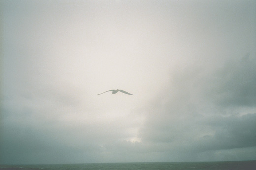 Segments I - series ‘Whiteout’