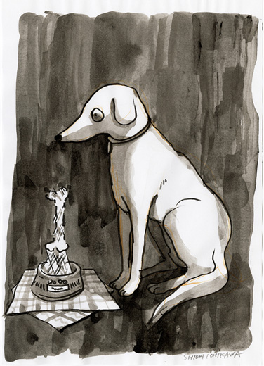 ホログラムの骨