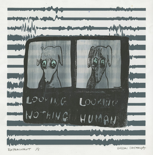 人間を見るときの表情を実験された犬