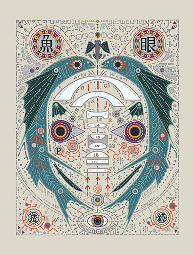 魚眼透鏡 - Fisheyes-Mute D+++