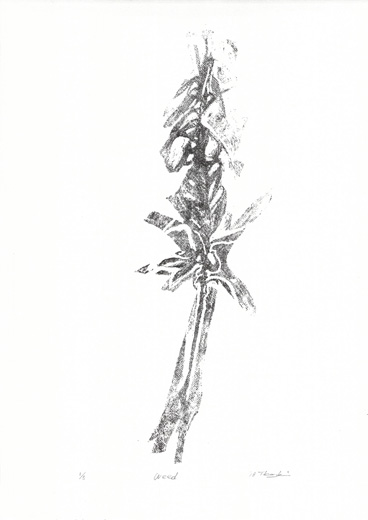 Weed