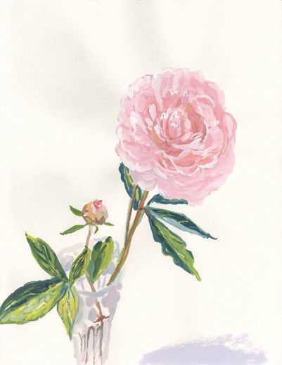 Peony01