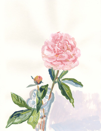 Peony02