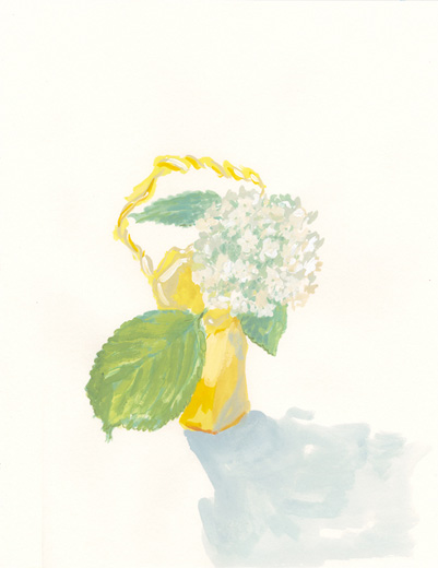 Hydrangea
