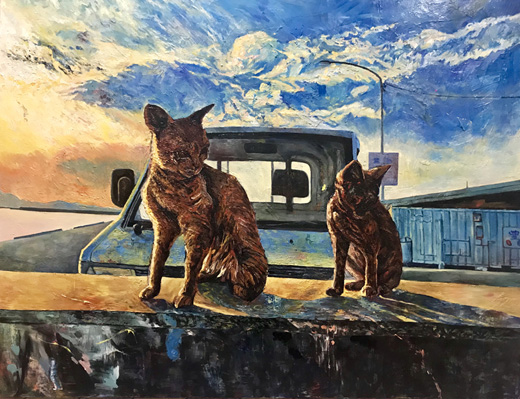 海辺の猫