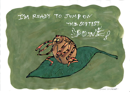 17年出会いを待っているマダニ