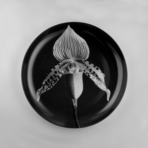 Orchid, 1987 (プレート)