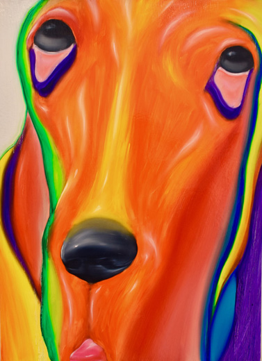 フランス産猟犬