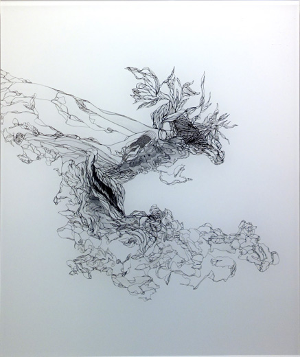 wood drawing