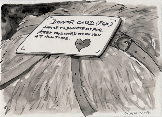 毛皮ドナーカードを持ち歩くやさしい狐