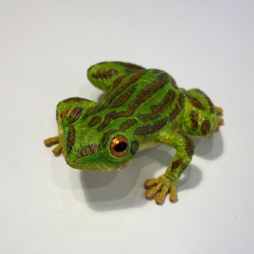 Animal 2007-05